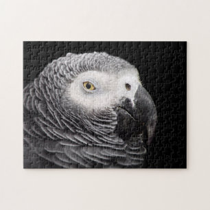 African Grey Parrot Jigsaw Puzzle