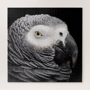African Grey Parrot Jigsaw Puzzle