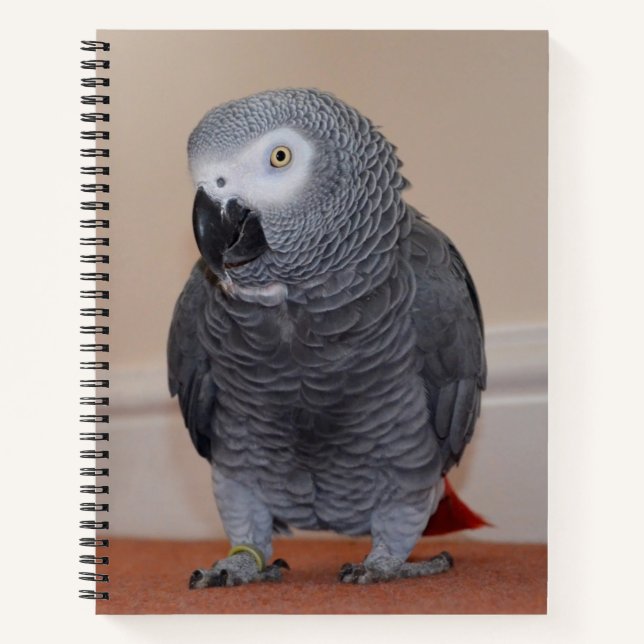 African Grey Parrot Journal (Front)