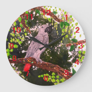 African Grey Parrot Large Clock