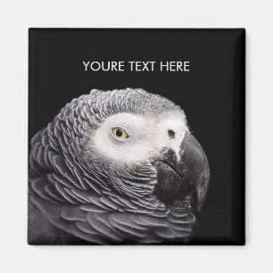 African Grey Parrot Magnet