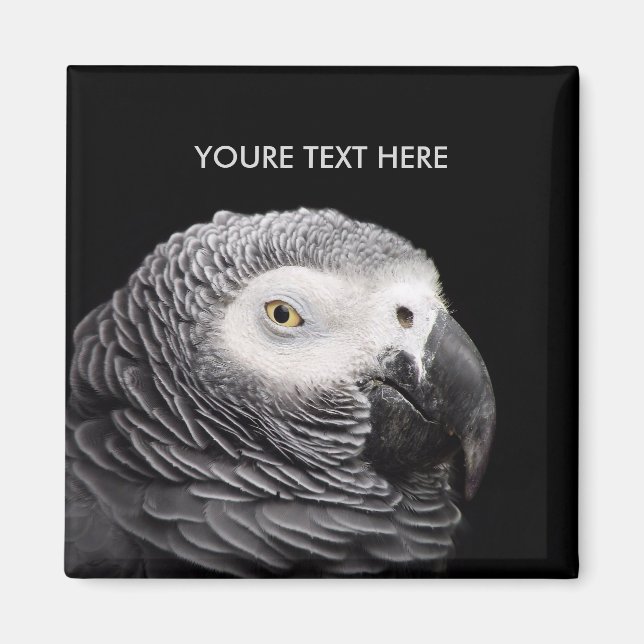 African Grey Parrot Magnet (Front)