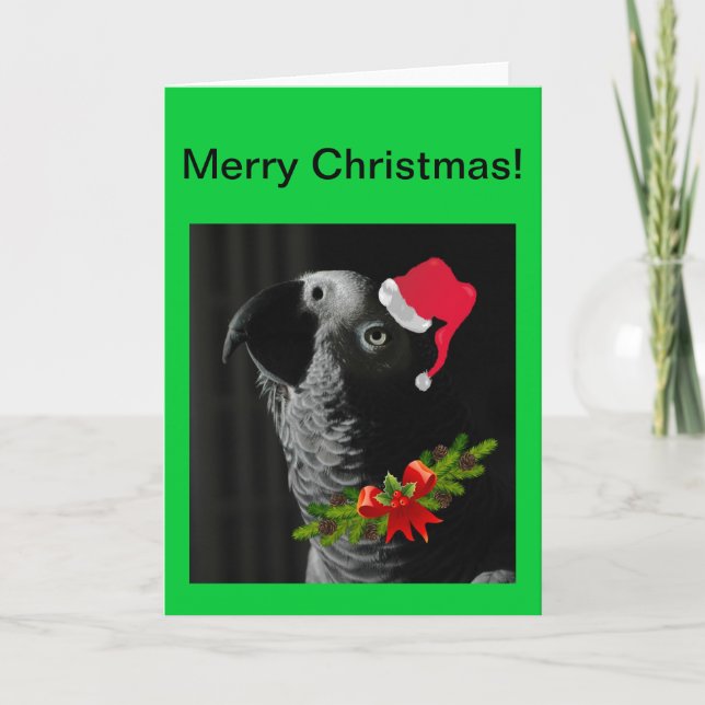 African Grey Parrot Merry Christmas Card (Front)