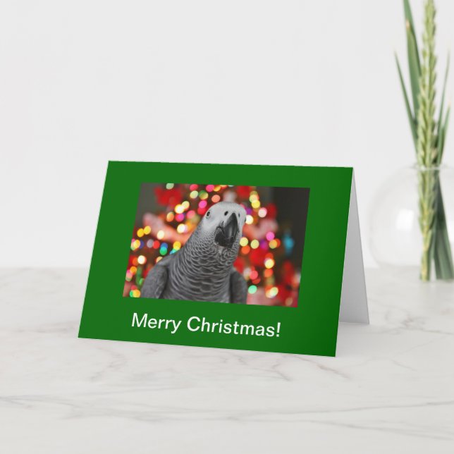 African Grey Parrot Merry Christmas Greeting Card (Front)