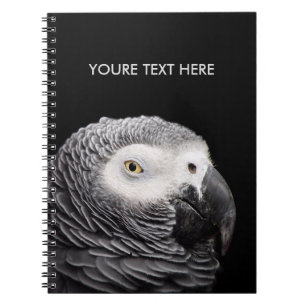 African Grey Parrot Notebook