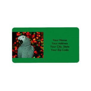 African Grey Parrot Painting with Christmas Tree Label