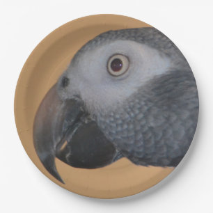 African Grey Parrot Paper Plates