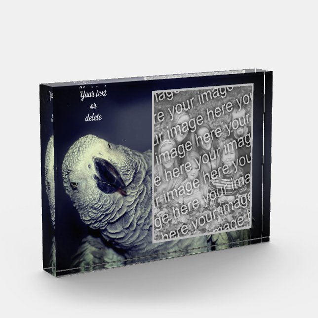 African Grey Parrot Personalised Add Your Own  Photo Block (Left)