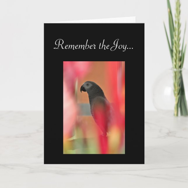 African Grey Parrot Pet Sympathy Card (Front)