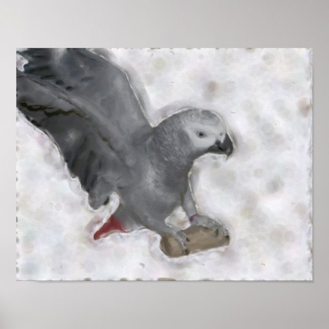 African Grey Parrot Photo Painting  Poster (Front)