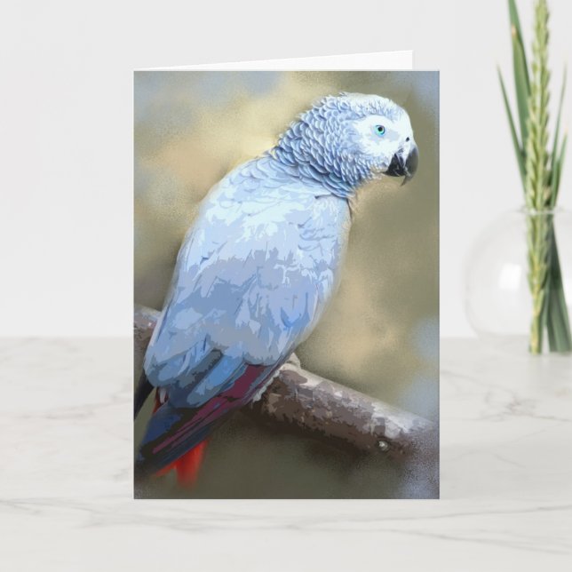 African Grey Parrot Portrait Cards (Front)