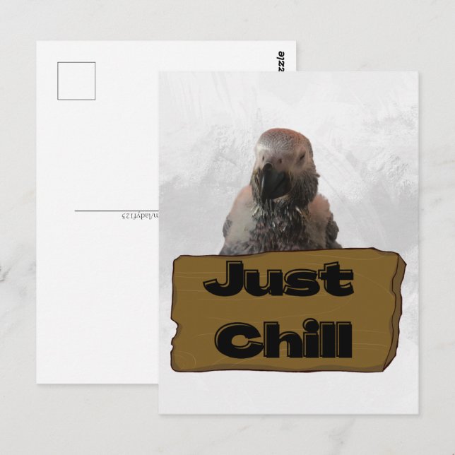 African grey parrot, Postcrossing Postcard (Front/Back)