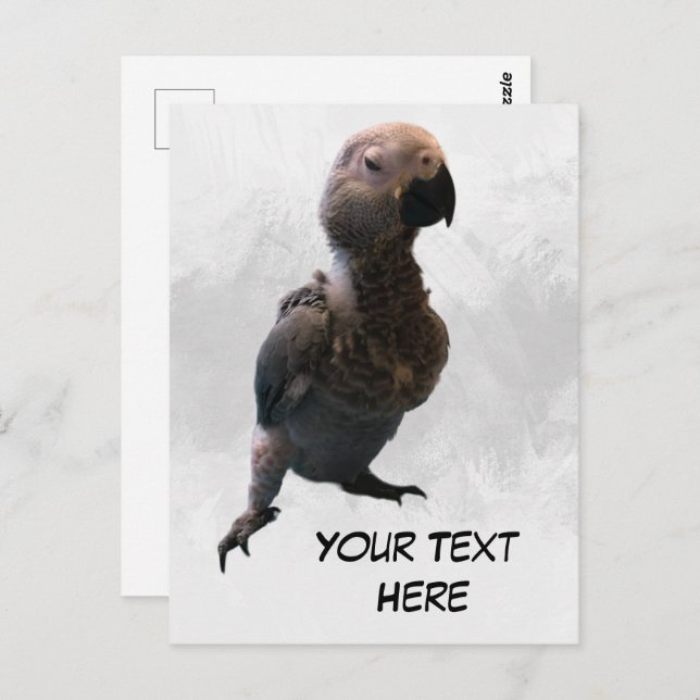 African grey parrot, Postcrossing Postcard (Front/Back)
