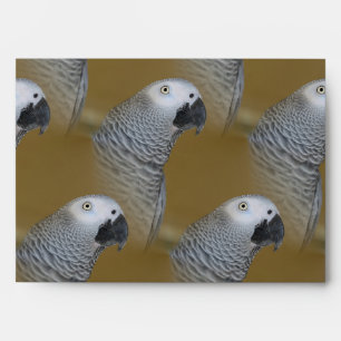 African Grey Parrot Profile Envelope