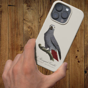 African grey parrot, Psittacus erithacus, vintage iPhone 13 Pro Max Case
