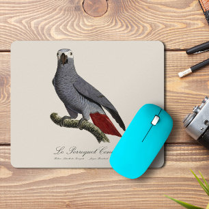 African grey parrot, Psittacus erithacus, vintage Mouse Pad