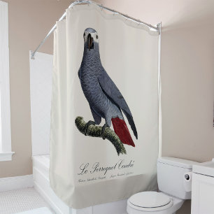 African grey parrot, Psittacus erithacus, vintage Shower Curtain