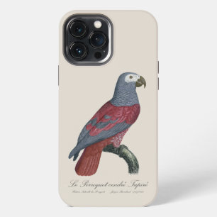 African Grey Parrot Red Factor Psittacus Erithacus iPhone 13 Pro Max Case