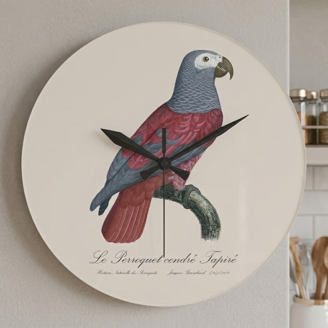 African Grey Parrot Red Factor Psittacus Erithacus Large Clock (African Grey Parrot Red Factor Psittacus Erithacus. Large Clock)