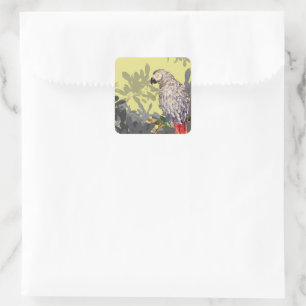 African grey parrot square sticker