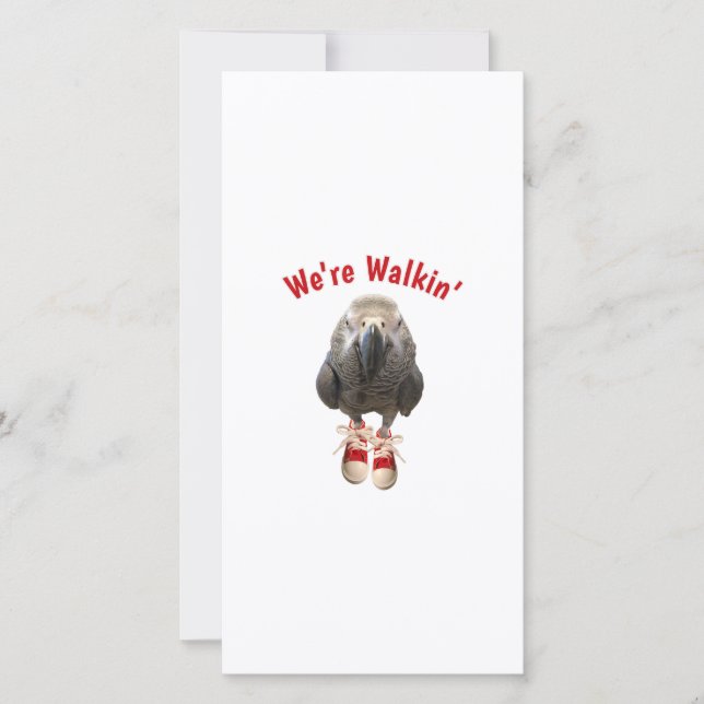 african grey parrot walking exercise tennis shoe thank you card (Front)