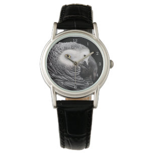 African Grey Parrot Watch