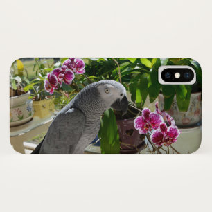 African Grey Parrot with Orchids iPhone X Case