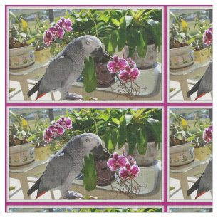 African Grey Parrot with Orchids Fabric