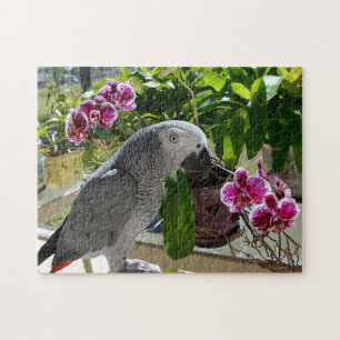 African Grey Parrot with Orchids Jigsaw Puzzle