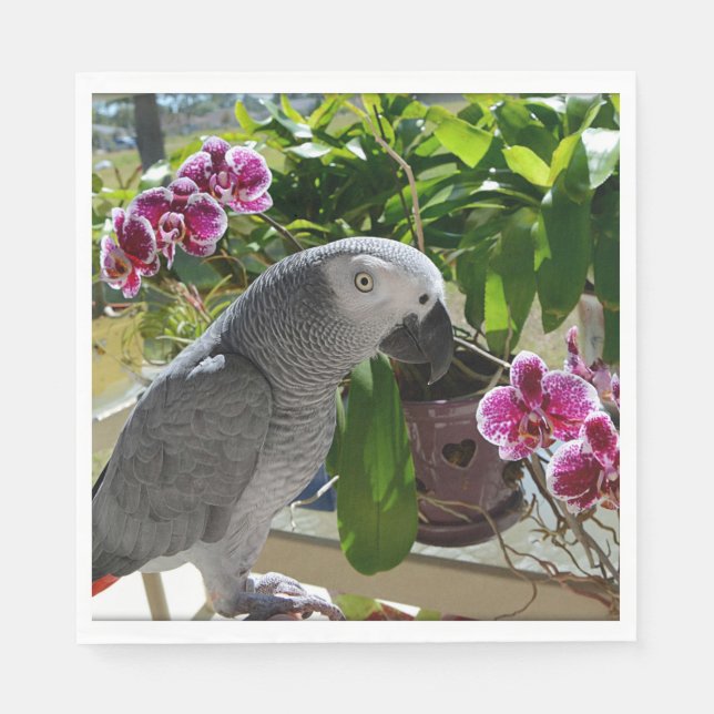 African Grey Parrot with Orchids Napkin (Front)