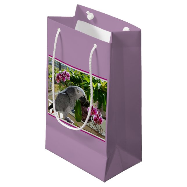 African Grey Parrot with Orchids Small Gift Bag (Front Angled)