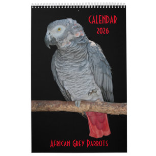 African Grey Parrots Calendar 2025