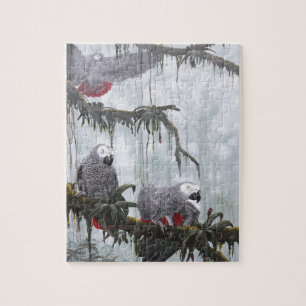 African Grey Parrots flying free Jigsaw Puzzle