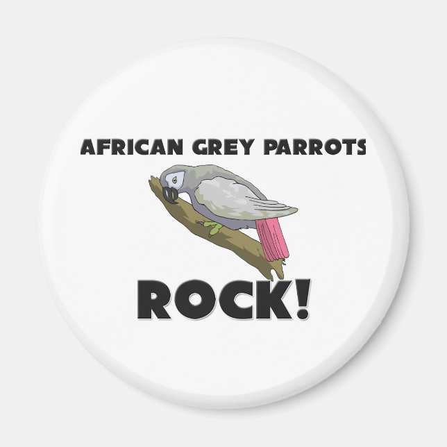 African Grey Parrots Rock Magnet (Front)