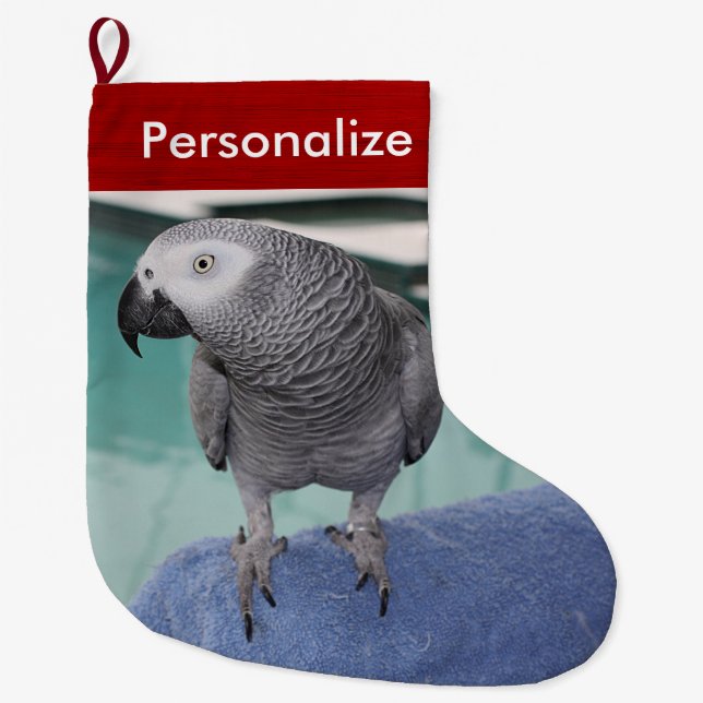African Grey Pool Party Large Christmas Stocking (Front)