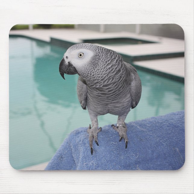 African Grey Pool Party Mouse Pad (Front)