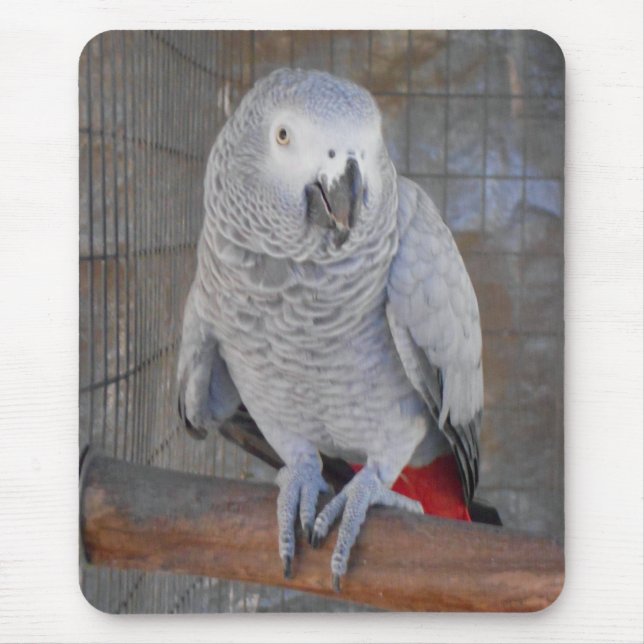 African Grey "Rudy" Mouse Pad (Front)