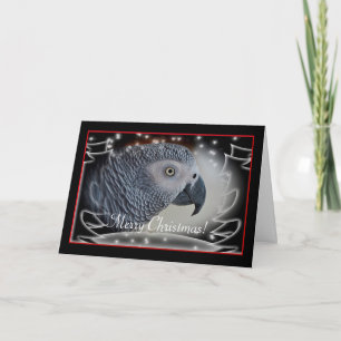 African Grey Snowy Christmas Holiday Card