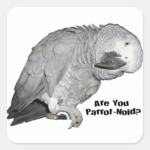 African Grey Stickers