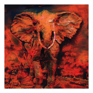 African Heat - Wild Elephant    Photo Print