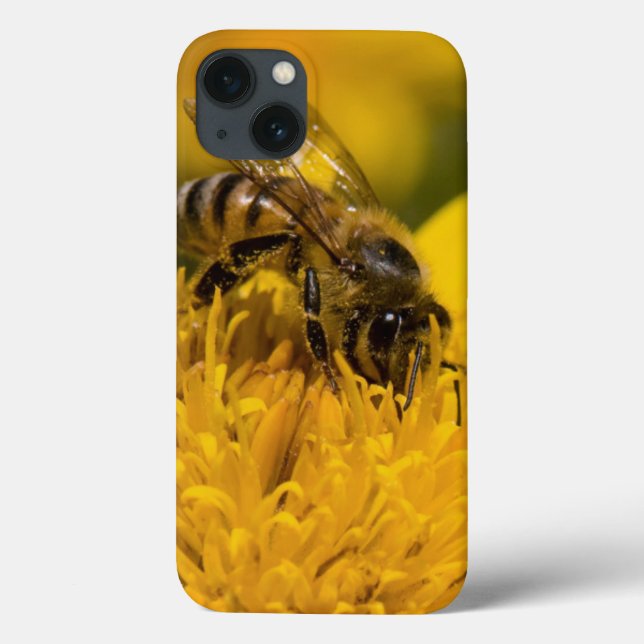 African Honey Bee With Pollen Sacs Feeding Case-Mate iPhone Case (Back)