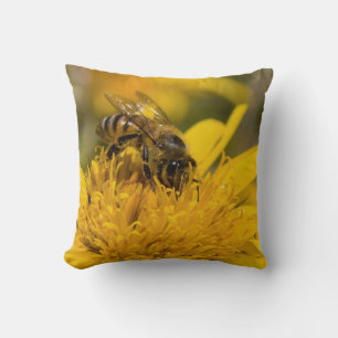 African Honey Bee With Pollen Sacs Feeding Cushion