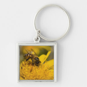 African Honey Bee With Pollen Sacs Feeding Key Ring