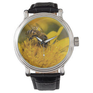 African Honey Bee With Pollen Sacs Feeding Watch