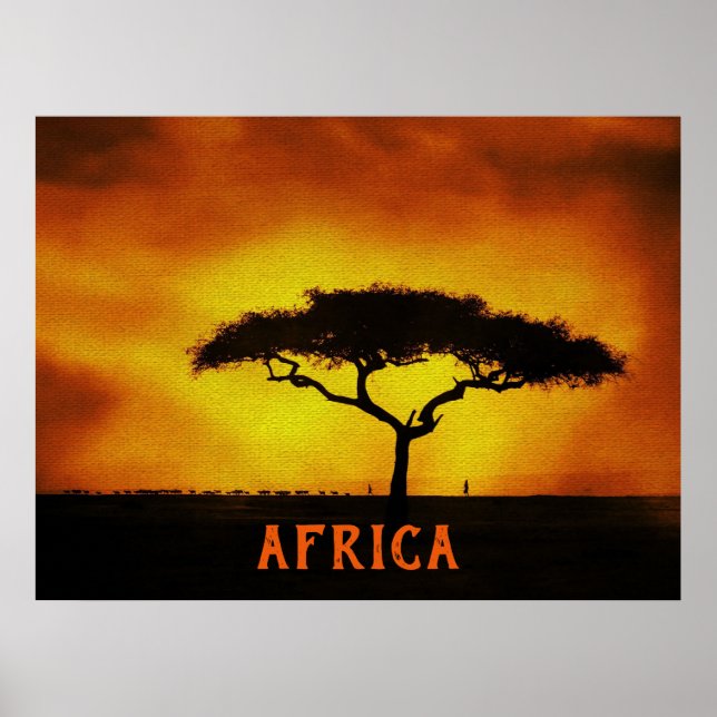 African Landscape Acacia Tree  Poster (Front)
