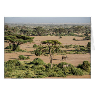 African Landscape with Elephant