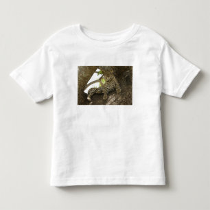 African Leopard, Panthera pardus Toddler T-Shirt