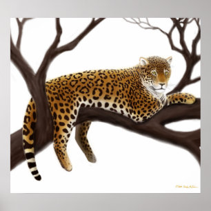 African Leopard Poster