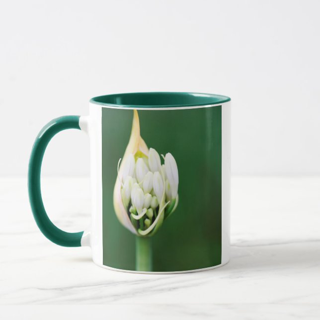 African Lily, Agapanthus Praecox, Cape Town Mug (Left)