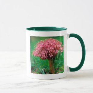 African Lily (Agapanthus Praecox), Mala Mala Mug